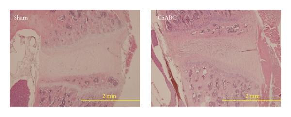 https://cdn.ncbi.nlm.nih.gov/pmc/blobs/d7cd/3170822/a3921e914fe0/AOP2011-602089.002.jpg