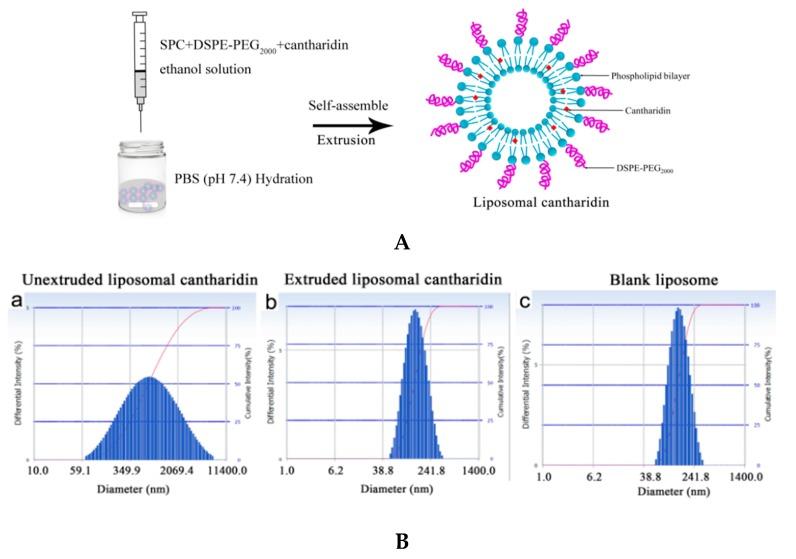 https://cdn.ncbi.nlm.nih.gov/pmc/blobs/d7cd/6152072/d0586dd4a7de/molecules-22-01052-g002.jpg