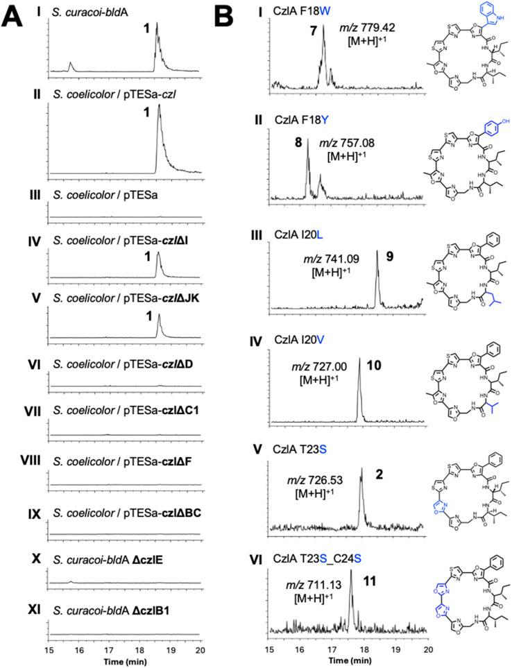 https://cdn.ncbi.nlm.nih.gov/pmc/blobs/d7ce/11616027/aafdf441b58c/d4sc02262a-f3.jpg
