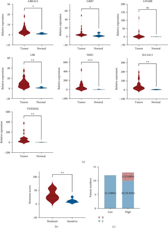 https://cdn.ncbi.nlm.nih.gov/pmc/blobs/d7ce/11968171/50cfc50177b8/SCI2025-2505812.007.jpg