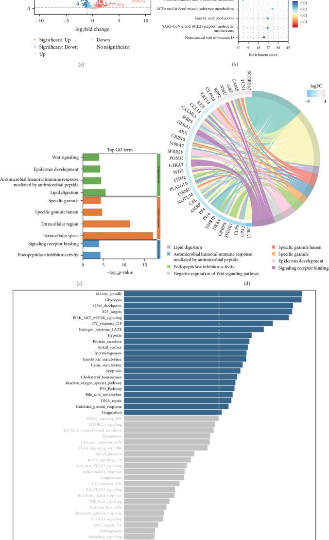 https://cdn.ncbi.nlm.nih.gov/pmc/blobs/d7ce/11968171/5cb8230ff864/SCI2025-2505812.004.jpg