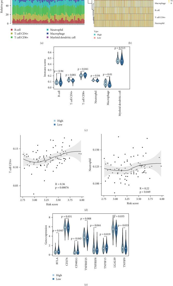 https://cdn.ncbi.nlm.nih.gov/pmc/blobs/d7ce/11968171/6f262907d219/SCI2025-2505812.005.jpg