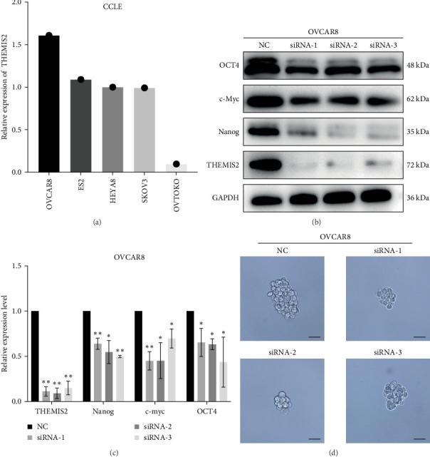 https://cdn.ncbi.nlm.nih.gov/pmc/blobs/d7ce/11968171/a92256f59c57/SCI2025-2505812.008.jpg