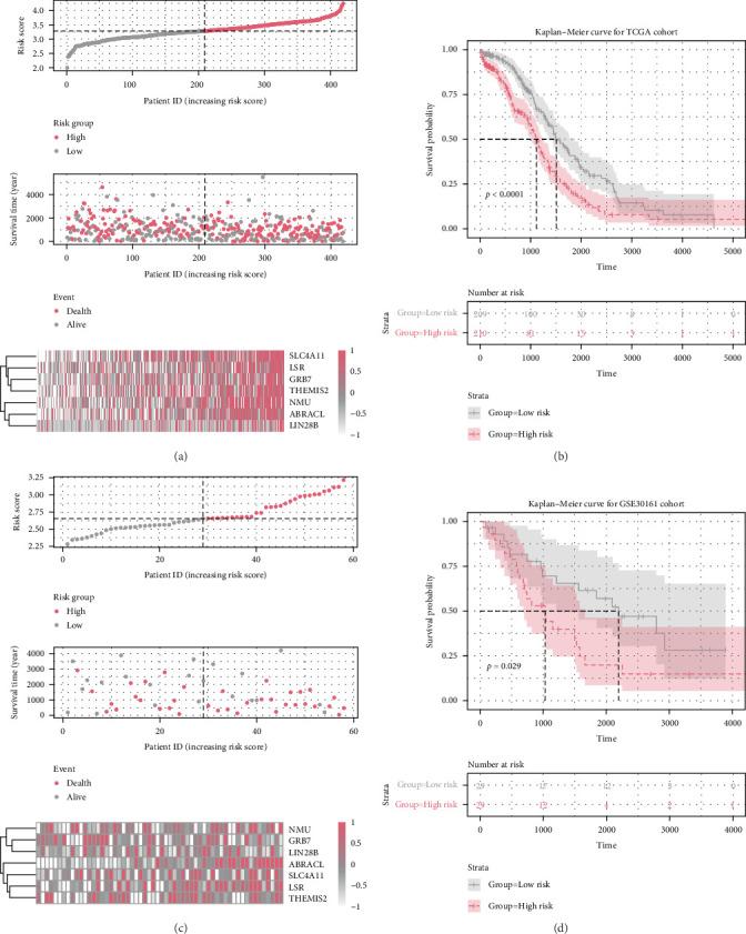https://cdn.ncbi.nlm.nih.gov/pmc/blobs/d7ce/11968171/fc2731105a63/SCI2025-2505812.002.jpg