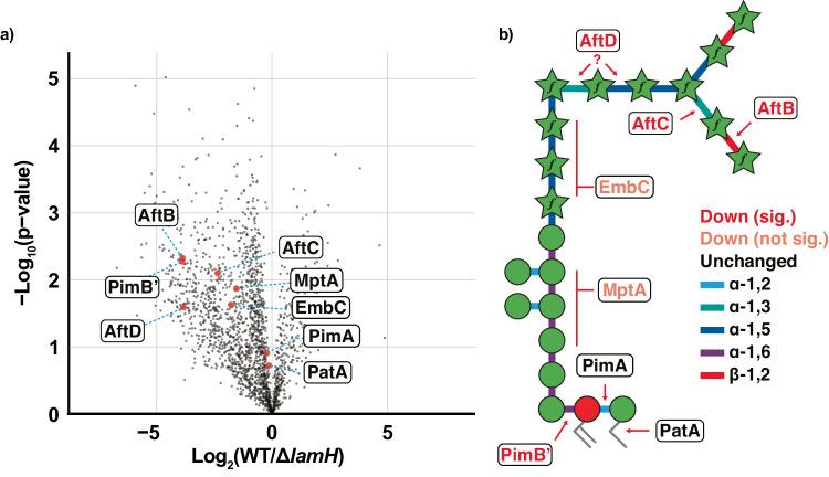 https://cdn.ncbi.nlm.nih.gov/pmc/blobs/d7cf/11233589/8c6349195ad1/41467_2024_50051_Fig4_HTML.jpg
