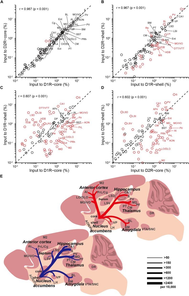 https://cdn.ncbi.nlm.nih.gov/pmc/blobs/d7d1/6232828/ce16727d8db9/fnana-12-00084-g007.jpg
