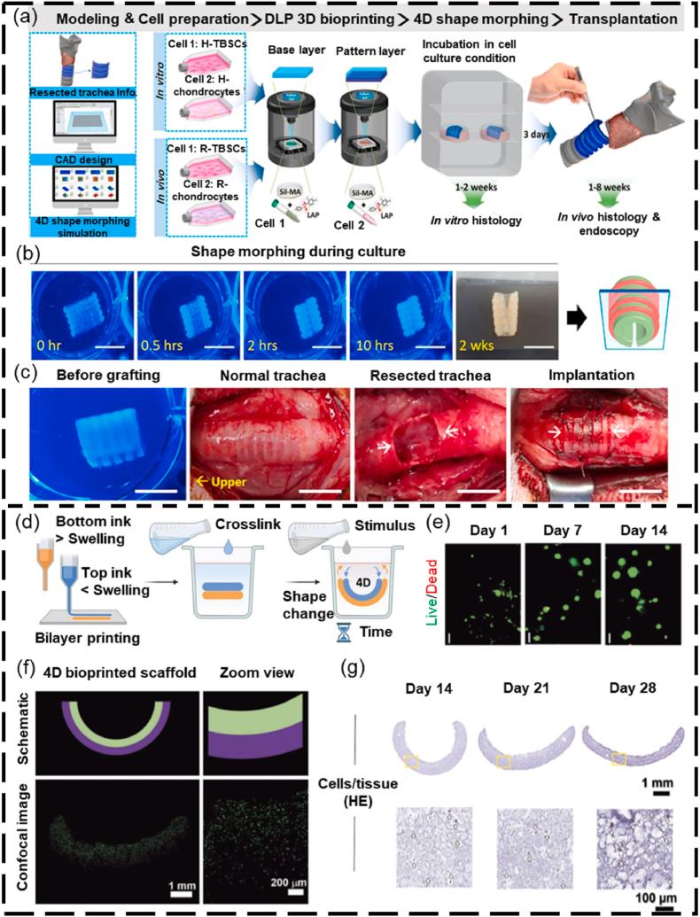 https://cdn.ncbi.nlm.nih.gov/pmc/blobs/d7d2/11061618/358ef40fbd02/gr15.jpg