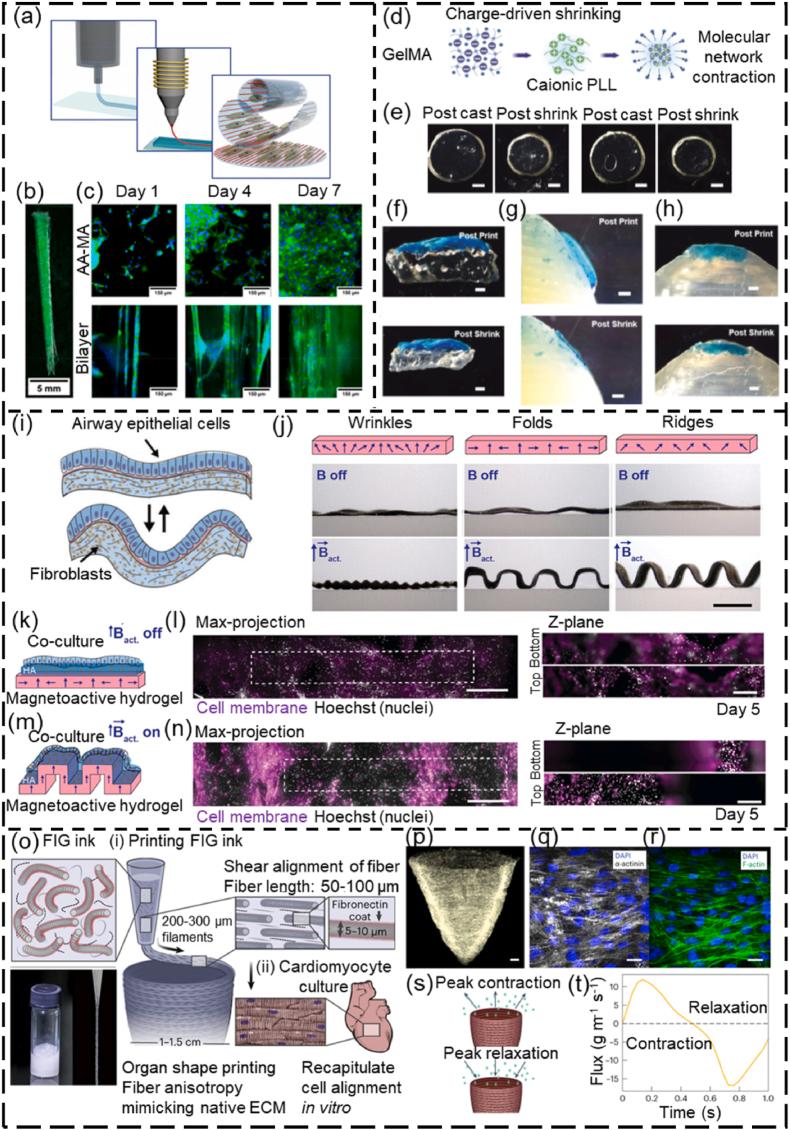 https://cdn.ncbi.nlm.nih.gov/pmc/blobs/d7d2/11061618/900ed3addb9f/gr17.jpg