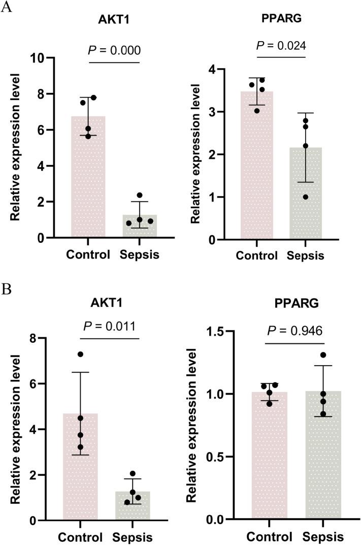 https://cdn.ncbi.nlm.nih.gov/pmc/blobs/d7d2/12318527/82ca9851548c/JIR-18-10213-g0008.jpg