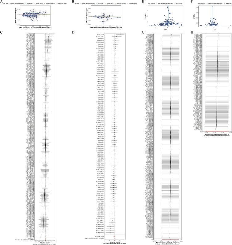 https://cdn.ncbi.nlm.nih.gov/pmc/blobs/d7d2/12318527/871e9d213867/JIR-18-10213-g0004.jpg