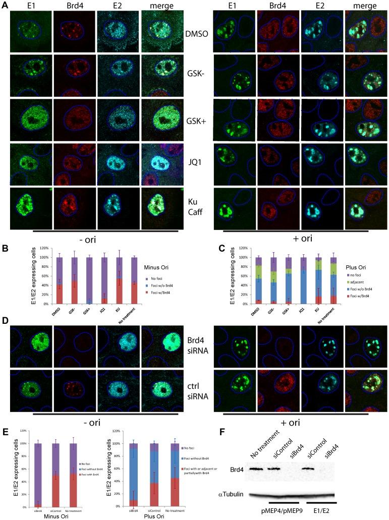 https://cdn.ncbi.nlm.nih.gov/pmc/blobs/d7d6/3836737/4e45624f22bd/ppat.1003777.g009.jpg
