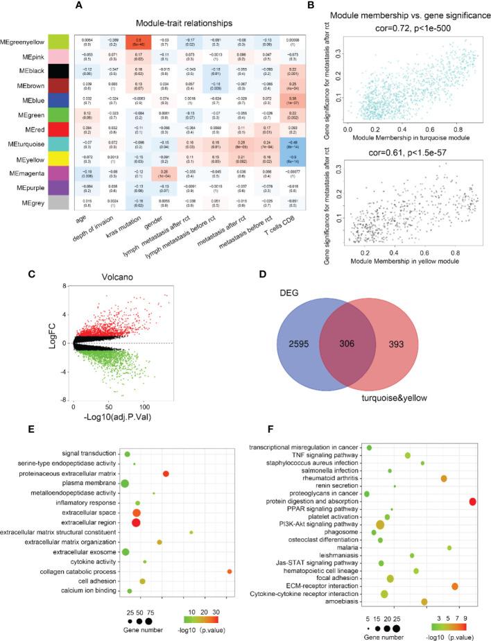 https://cdn.ncbi.nlm.nih.gov/pmc/blobs/d7da/9871988/297dd0c01754/fonc-12-1094612-g001.jpg