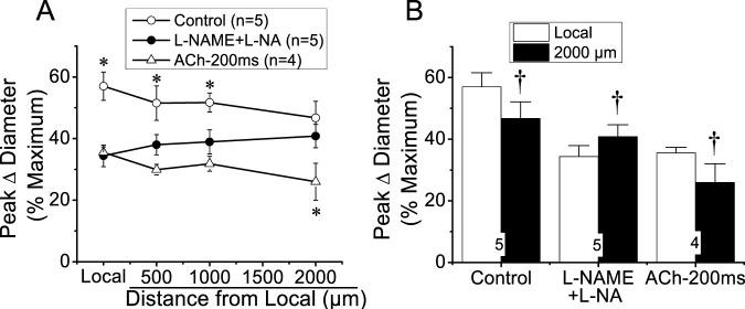 https://cdn.ncbi.nlm.nih.gov/pmc/blobs/d7db/12162255/099005565474/fphys-16-1569167-g003.jpg