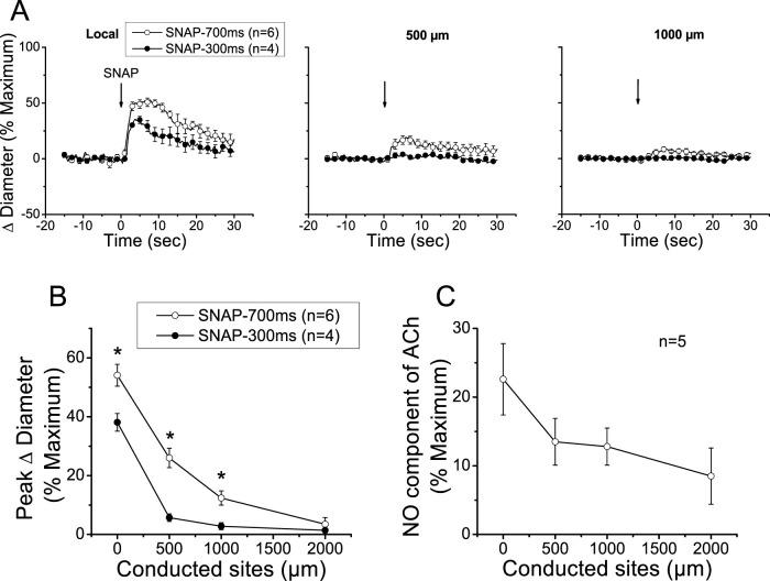 https://cdn.ncbi.nlm.nih.gov/pmc/blobs/d7db/12162255/0ca6d7b9ffe6/fphys-16-1569167-g004.jpg