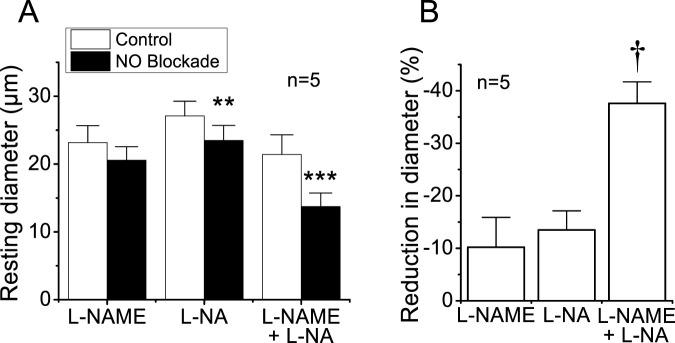 https://cdn.ncbi.nlm.nih.gov/pmc/blobs/d7db/12162255/281cbf075ae1/fphys-16-1569167-g001.jpg