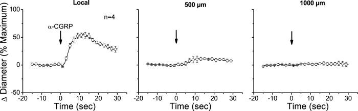 https://cdn.ncbi.nlm.nih.gov/pmc/blobs/d7db/12162255/97c17cee64a6/fphys-16-1569167-g005.jpg