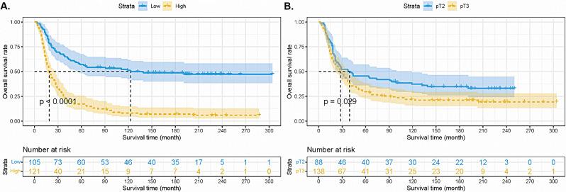 https://cdn.ncbi.nlm.nih.gov/pmc/blobs/d7de/10981364/5e9c0fda638a/12935_2024_3286_Fig3_HTML.jpg