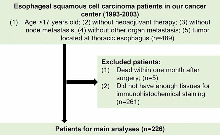 https://cdn.ncbi.nlm.nih.gov/pmc/blobs/d7de/10981364/9a6f5439f5a0/12935_2024_3286_Fig1_HTML.jpg