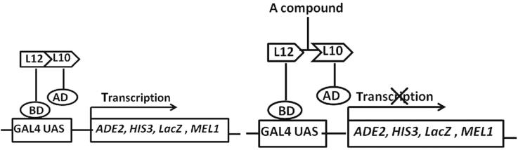 https://cdn.ncbi.nlm.nih.gov/pmc/blobs/d7de/6146381/6fbdeab514f0/fx1.jpg