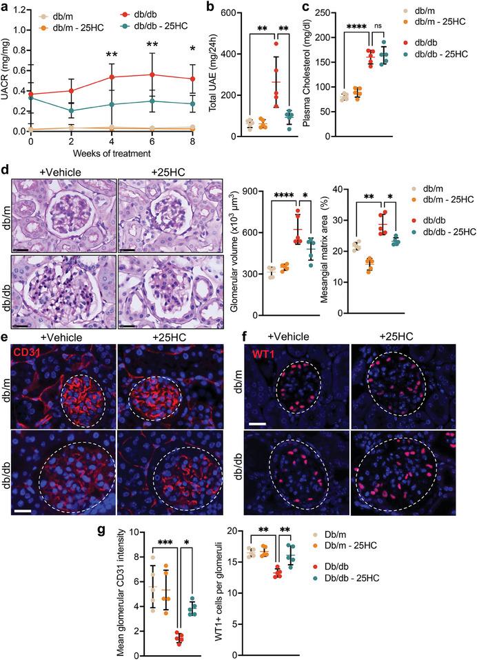 https://cdn.ncbi.nlm.nih.gov/pmc/blobs/d7df/11304234/5eff6f3bbf34/ADVS-11-2309642-g003.jpg
