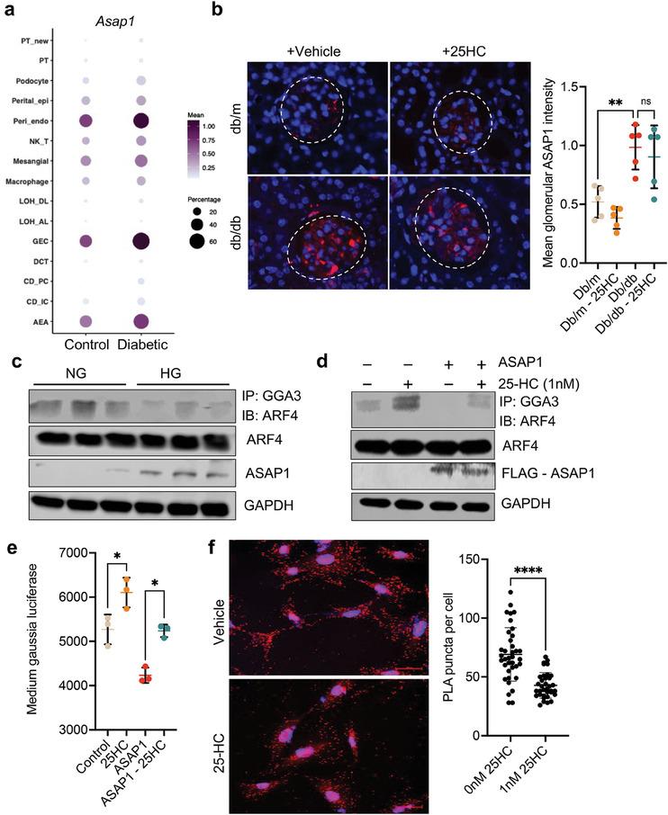 https://cdn.ncbi.nlm.nih.gov/pmc/blobs/d7df/11304234/b9242fa57d43/ADVS-11-2309642-g006.jpg