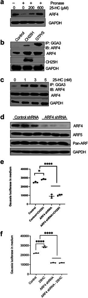 https://cdn.ncbi.nlm.nih.gov/pmc/blobs/d7df/11304234/eae439fd1cfc/ADVS-11-2309642-g007.jpg