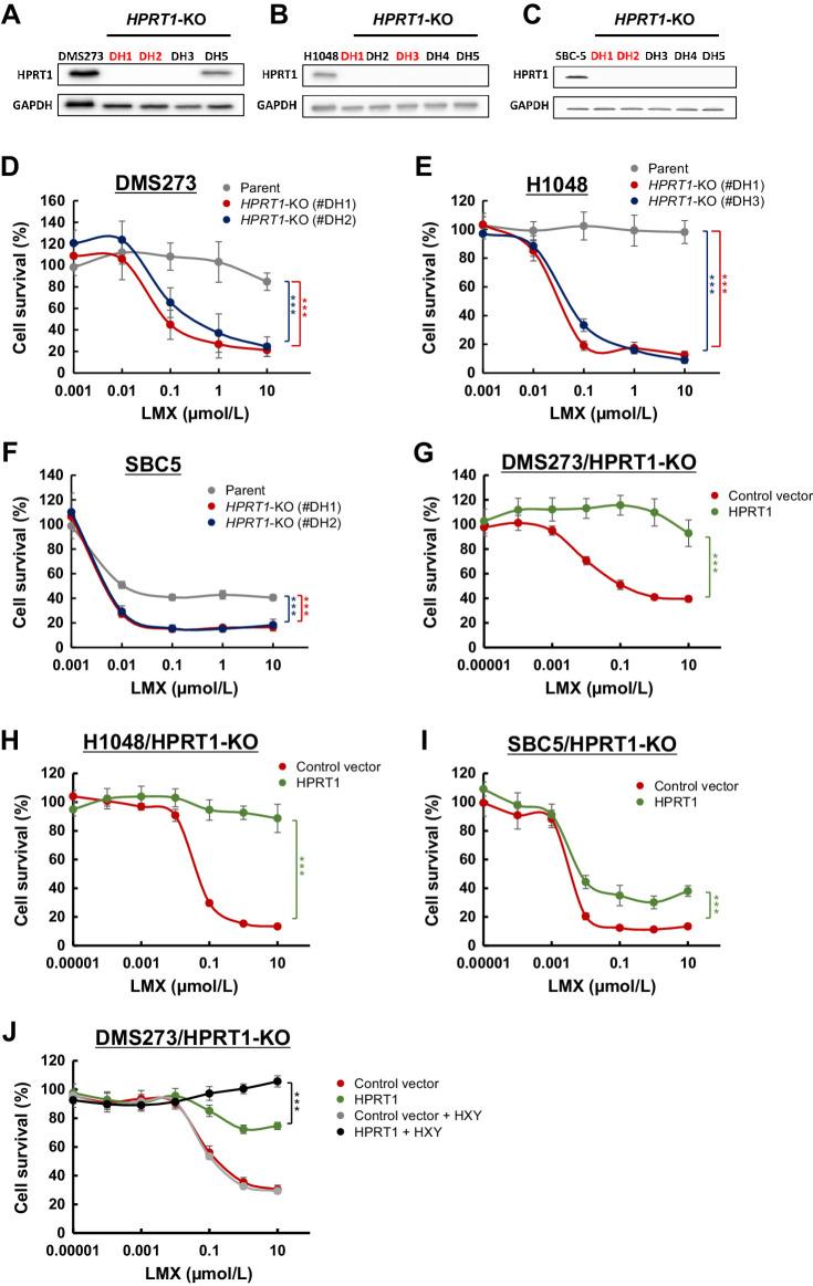 https://cdn.ncbi.nlm.nih.gov/pmc/blobs/d7e0/10758693/8aefb2b6acbb/82fig4.jpg