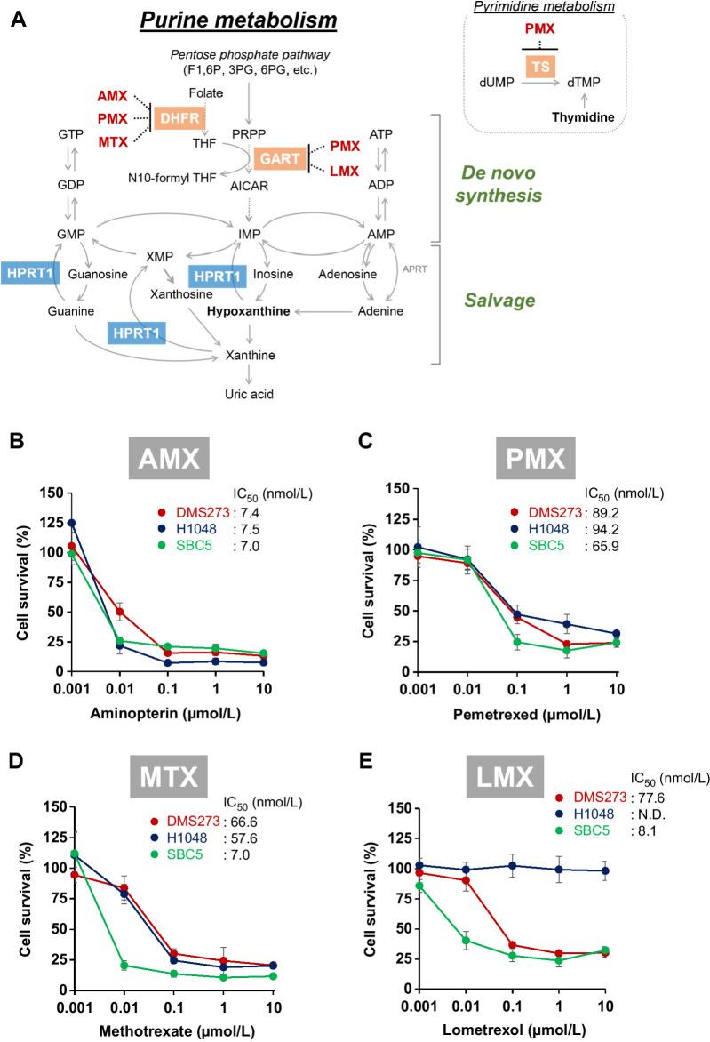 https://cdn.ncbi.nlm.nih.gov/pmc/blobs/d7e0/10758693/ce1cdf982c26/82fig1.jpg