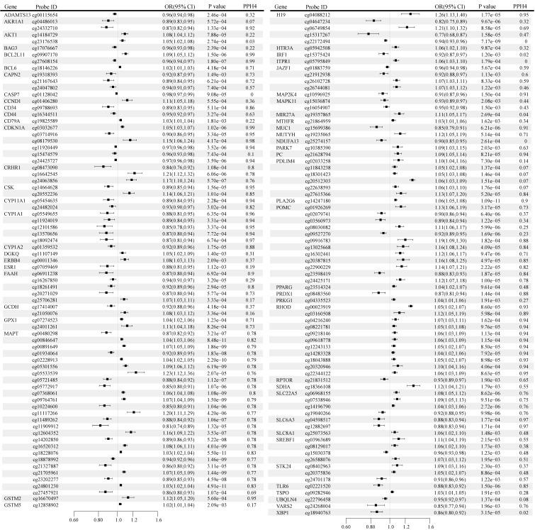 https://cdn.ncbi.nlm.nih.gov/pmc/blobs/d7e2/12244032/65fe685fa48b/jcav16p2877g002.jpg