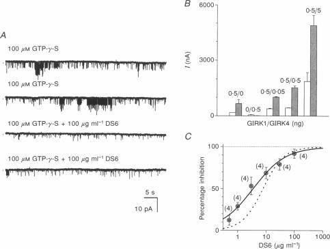 https://cdn.ncbi.nlm.nih.gov/pmc/blobs/d7e3/1160090/1ae34bb9ee78/jphysiol00373-0023-a.jpg
