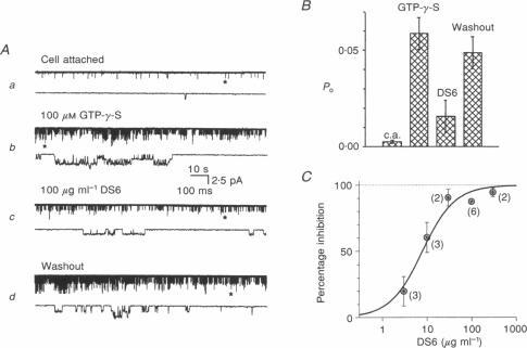 https://cdn.ncbi.nlm.nih.gov/pmc/blobs/d7e3/1160090/8d328d7d666a/jphysiol00373-0019-a.jpg