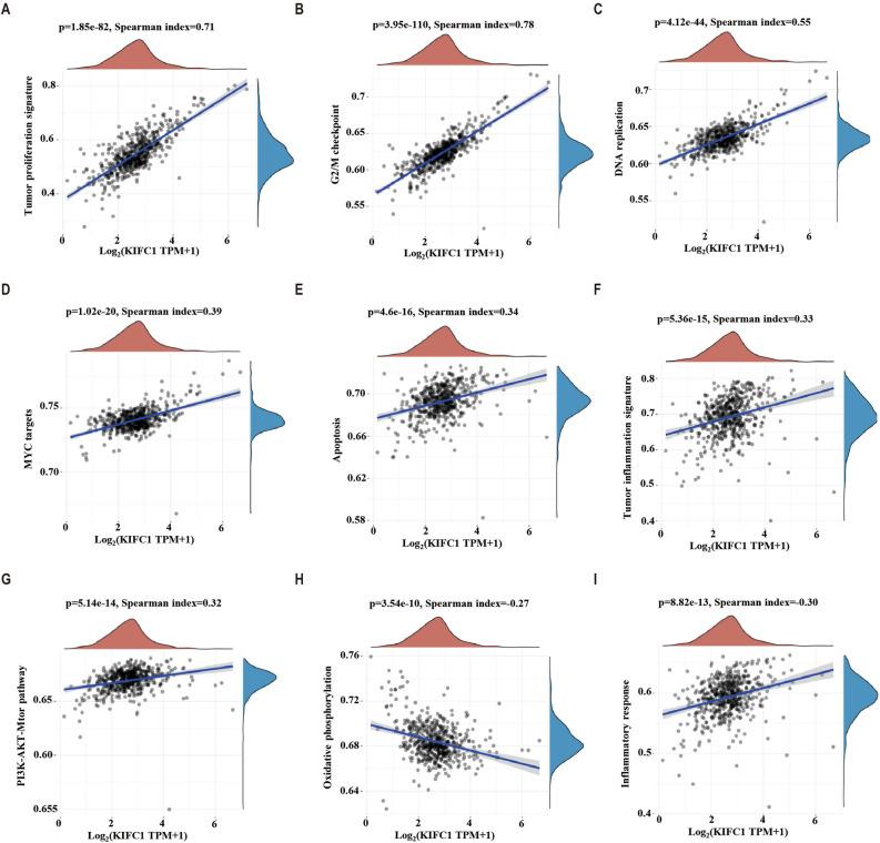 https://cdn.ncbi.nlm.nih.gov/pmc/blobs/d7e9/10547834/3430ac198973/41598_2023_43732_Fig5_HTML.jpg