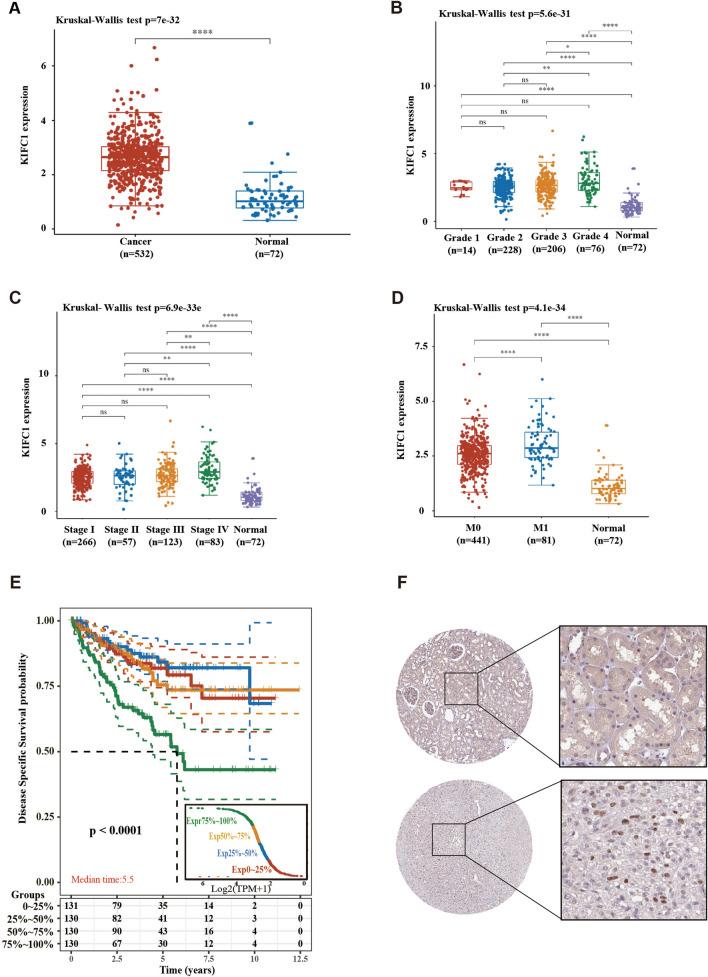 https://cdn.ncbi.nlm.nih.gov/pmc/blobs/d7e9/10547834/3c00c0297c16/41598_2023_43732_Fig1_HTML.jpg