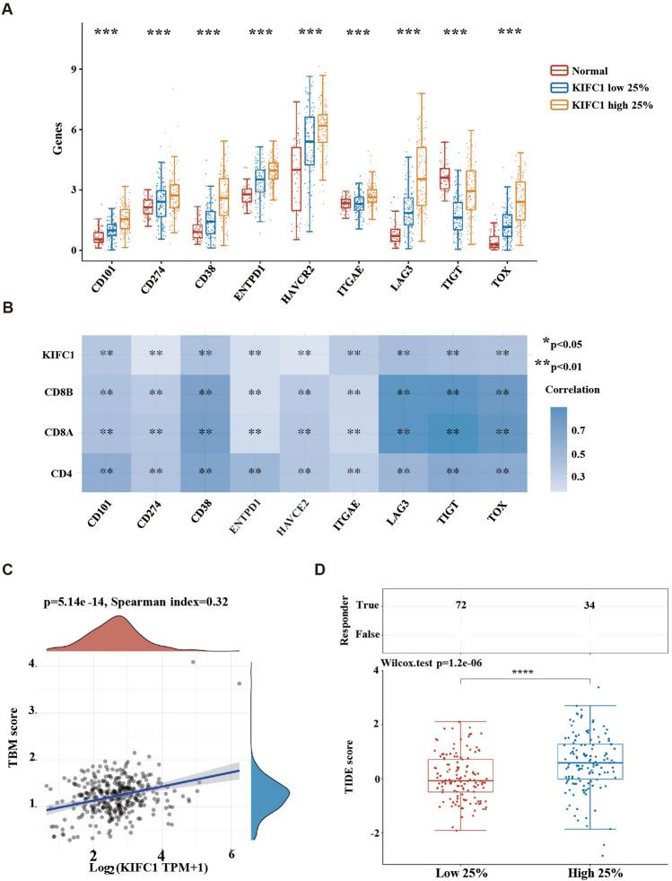 https://cdn.ncbi.nlm.nih.gov/pmc/blobs/d7e9/10547834/4fbf4ff55c76/41598_2023_43732_Fig7_HTML.jpg