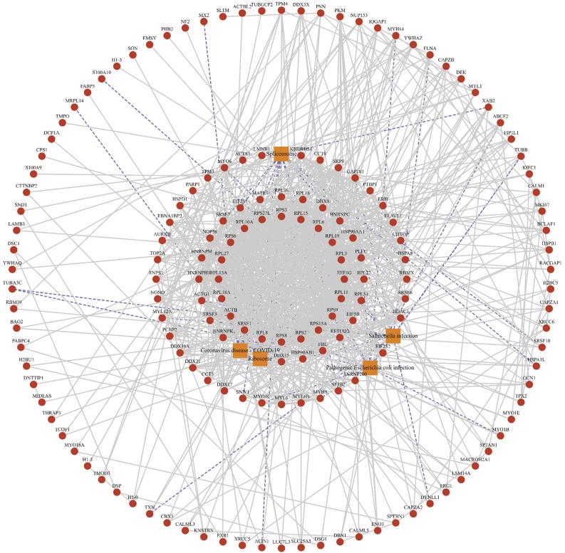 https://cdn.ncbi.nlm.nih.gov/pmc/blobs/d7e9/10547834/f07598c77d45/41598_2023_43732_Fig9_HTML.jpg