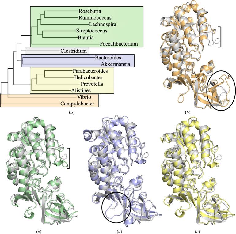 https://cdn.ncbi.nlm.nih.gov/pmc/blobs/d7ea/11866407/ac015b8f5050/f-81-00066-fig4.jpg