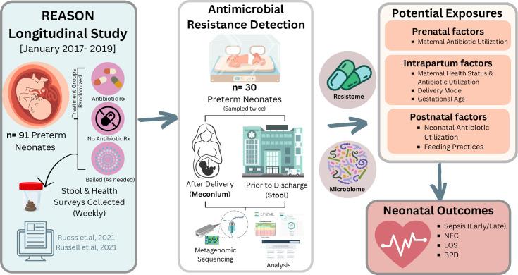 https://cdn.ncbi.nlm.nih.gov/pmc/blobs/d7eb/11542550/0084482ddbbc/msphere.00286-24.f001.jpg