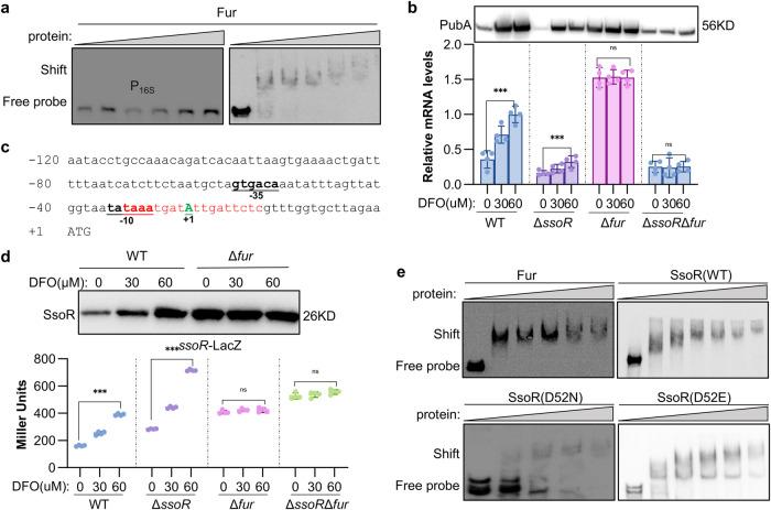 https://cdn.ncbi.nlm.nih.gov/pmc/blobs/d7ec/11045786/043fc3af225d/42003_2024_6193_Fig8_HTML.jpg