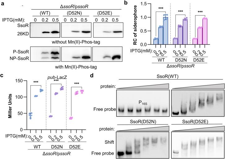 https://cdn.ncbi.nlm.nih.gov/pmc/blobs/d7ec/11045786/bdc0aec1e027/42003_2024_6193_Fig6_HTML.jpg