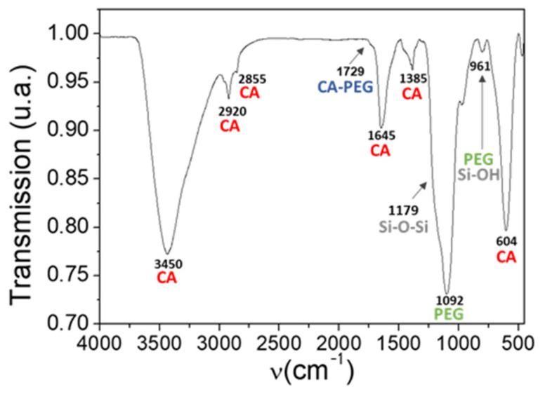 https://cdn.ncbi.nlm.nih.gov/pmc/blobs/d7f0/8624103/43d219db2340/molecules-26-06943-g007.jpg
