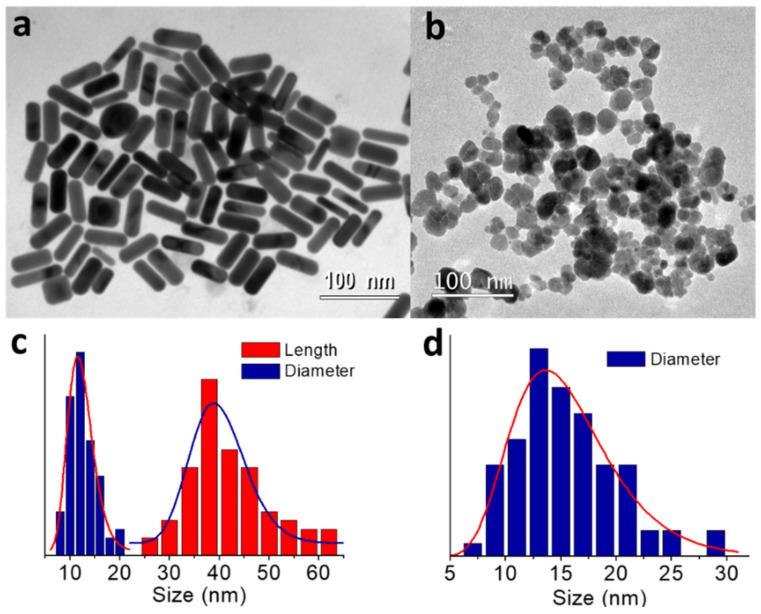 https://cdn.ncbi.nlm.nih.gov/pmc/blobs/d7f0/8624103/83f577675ee3/molecules-26-06943-g001.jpg
