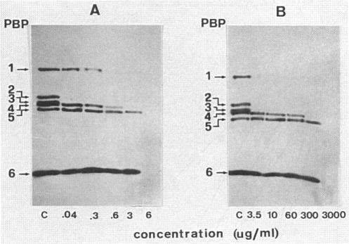 https://cdn.ncbi.nlm.nih.gov/pmc/blobs/d7f1/175002/8a9b92e1973a/aac00100-0193-a.jpg