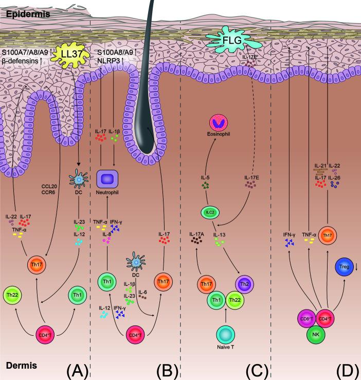 https://cdn.ncbi.nlm.nih.gov/pmc/blobs/d7f3/7705238/ad76a129adde/fimmu-11-594735-g002.jpg