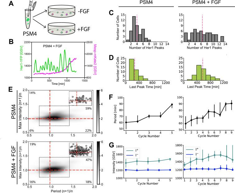 https://cdn.ncbi.nlm.nih.gov/pmc/blobs/d7f5/11643631/3c8bf45ec060/elife-93764-fig3.jpg