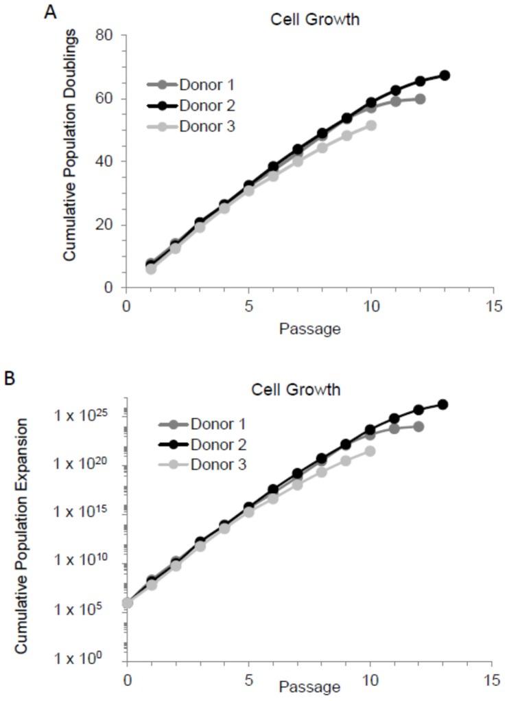 https://cdn.ncbi.nlm.nih.gov/pmc/blobs/d7f6/6770505/167497cdec77/cells-08-01031-g001.jpg