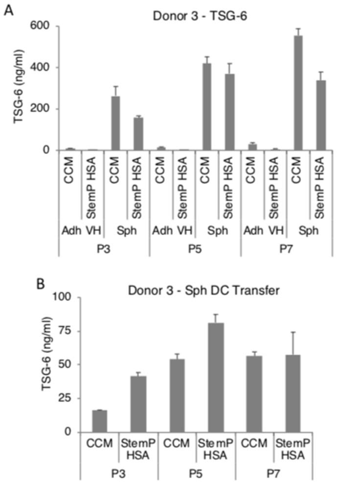 https://cdn.ncbi.nlm.nih.gov/pmc/blobs/d7f6/6770505/6ae39f04e9e4/cells-08-01031-g005.jpg