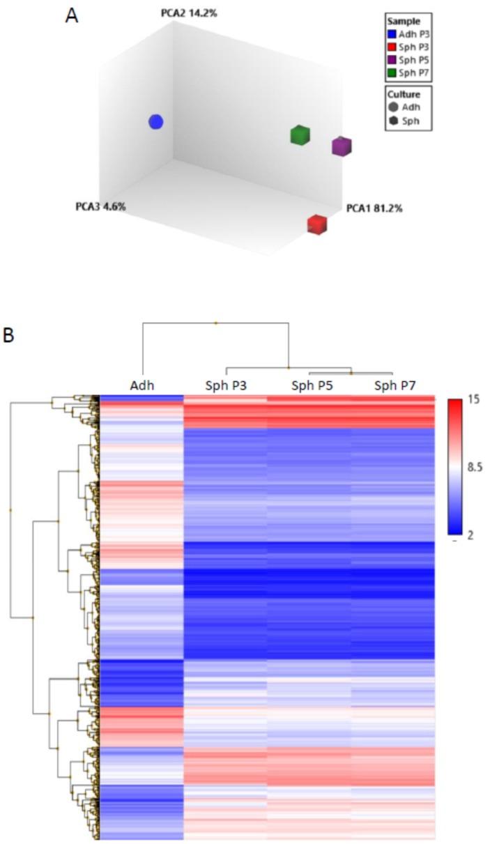 https://cdn.ncbi.nlm.nih.gov/pmc/blobs/d7f6/6770505/e1dcd595d596/cells-08-01031-g002.jpg