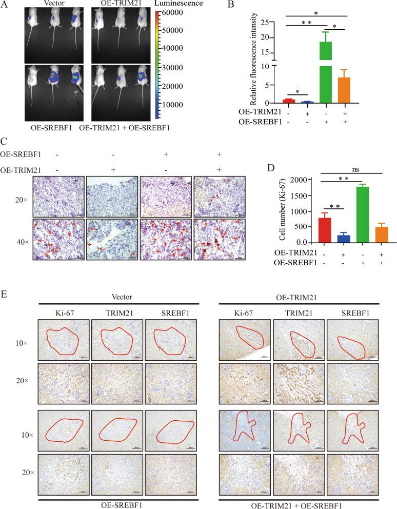 https://cdn.ncbi.nlm.nih.gov/pmc/blobs/d7fa/9875457/364e4aa8d8a9/13046_2022_2583_Fig6_HTML.jpg