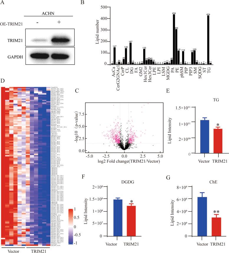 https://cdn.ncbi.nlm.nih.gov/pmc/blobs/d7fa/9875457/9eebac6a9a56/13046_2022_2583_Fig3_HTML.jpg