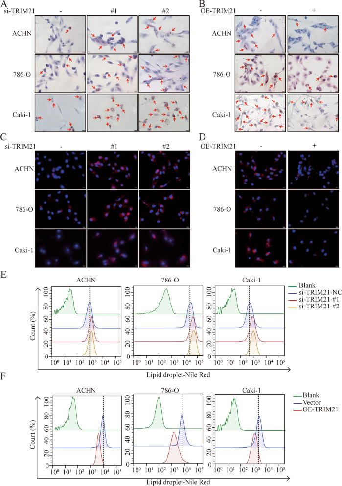 https://cdn.ncbi.nlm.nih.gov/pmc/blobs/d7fa/9875457/d79bc04463fb/13046_2022_2583_Fig2_HTML.jpg